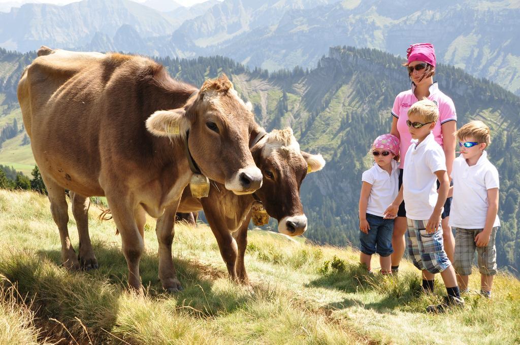 Schweizer Hof Villa Schwarzenberg im Bregenzerwald Ngoại thất bức ảnh